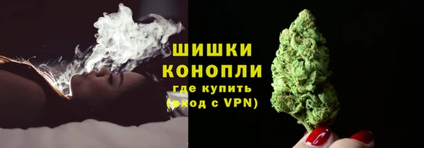 стаф Снежногорск