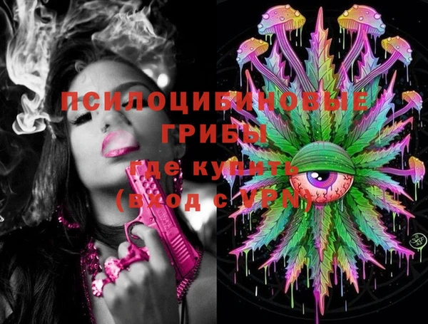 прущие грибы Снежинск