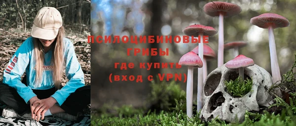гидра Алзамай