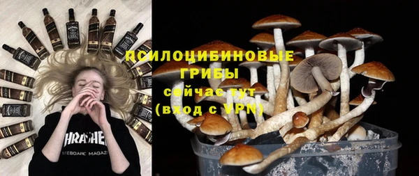 гидра Алзамай