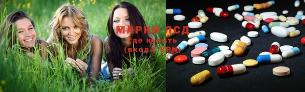 прущие грибы Снежинск